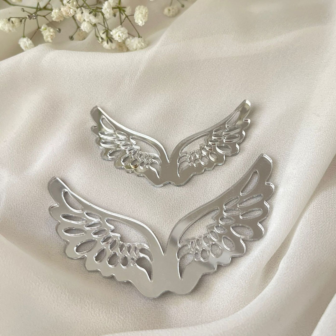 SKRZYDEŁKA Z PLEXI - obrazek 2